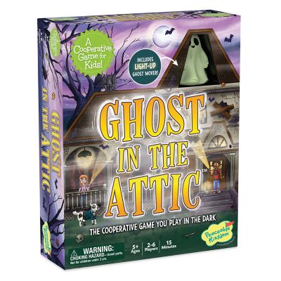 Ghost in the Attic